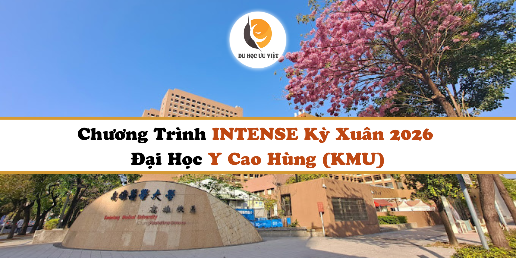 Chương Trình INTENSE Kỳ Xuân 2026 Đại Học Y Cao Hùng (KMU)